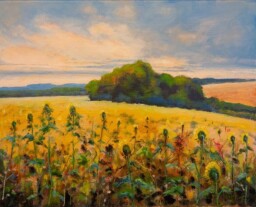 Čekání na slunce  40x50